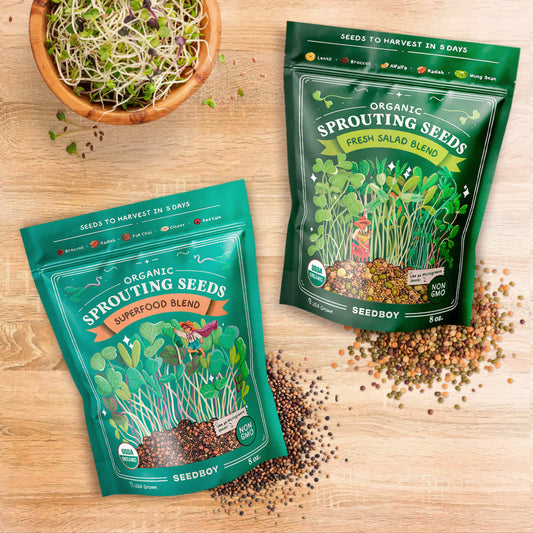 Everyday Bundle - Salad & Superfood Blends - Organic Sprouting Seeds, 2 × 8 oz Bags