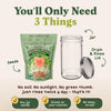 Gut Health Blend Sprouting Seeds, Organic & Non-GMO - 8 oz Bag