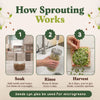 Gut Health Blend Sprouting Seeds, Organic & Non-GMO - 8 oz Bag