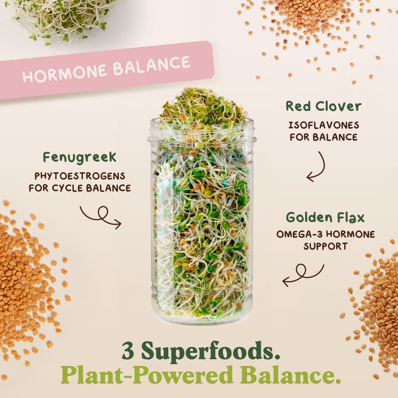 Hormone Support Stack - Hormone Balance, Protein & Gut Health Sprouting Seeds, Three 8 oz Bags