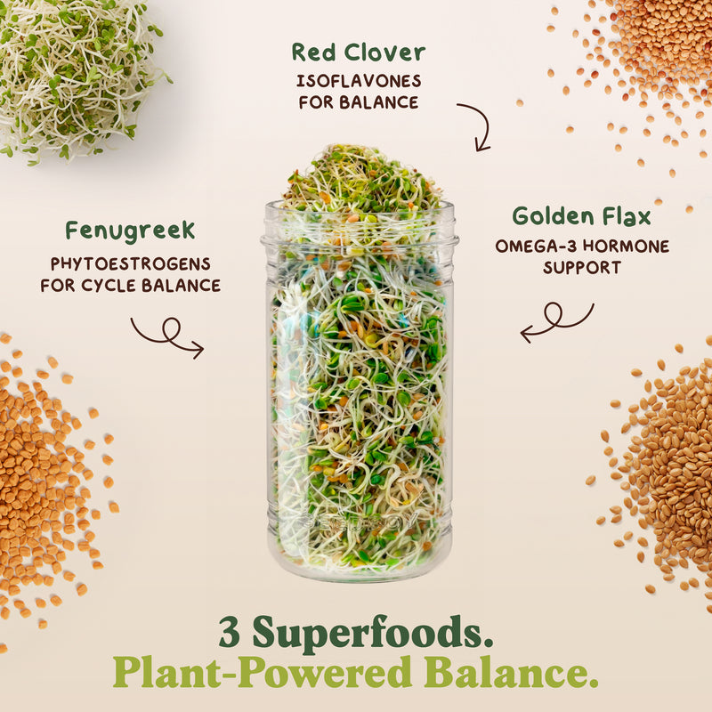 Hormone Balance Blend Sprouting Seeds, Organic & Non-GMO - 8 oz Bag
