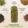 Immunity Blend Sprouting Seeds, Organic & Non-GMO - 8 oz Bag