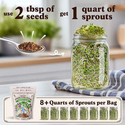 Immunity Blend Sprouting Seeds, Organic & Non-GMO  – 8 oz Bag