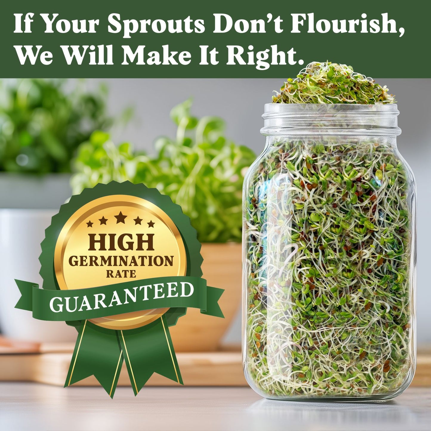 Immunity Blend Sprouting Seeds, Organic & Non-GMO  – 8 oz Bag