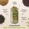 Longevity Blend Sprouting Seeds, Organic & Non-GMO - 8 oz Bag