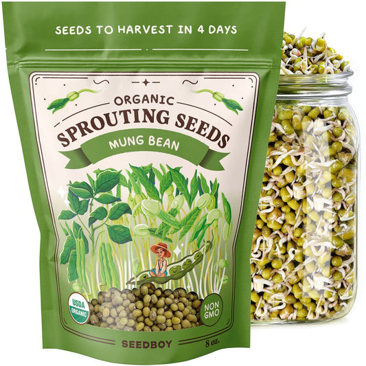Mung Bean Sprouting Seeds, Organic & Non-GMO  – 8 oz Bag