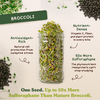 Performance Stack - Protein, Superfood & Broccoli Sprouting Seeds, Three 8 oz Bags