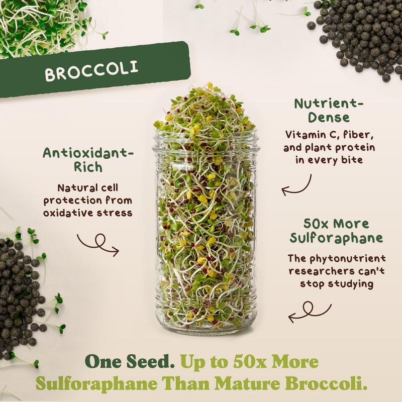 Performance Stack - Protein, Superfood & Broccoli Sprouting Seeds, Three 8 oz Bags