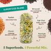 Full Sprout Bundle - Six Functional Blend Sprouting Seeds, Six 8 oz Bags