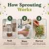 Protein Blend Sprouting Seeds, Organic & Non-GMO - 8 oz Bag