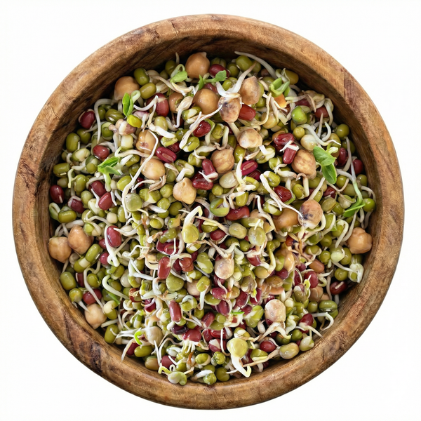 Protein Blend Sprouting Seeds, Organic & Non-GMO - 8 oz Bag sprout mix