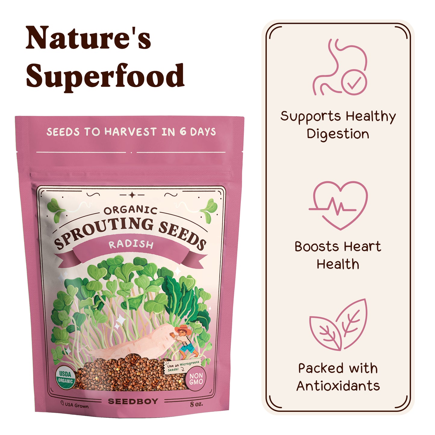 Graines de fenugrec à germer bio