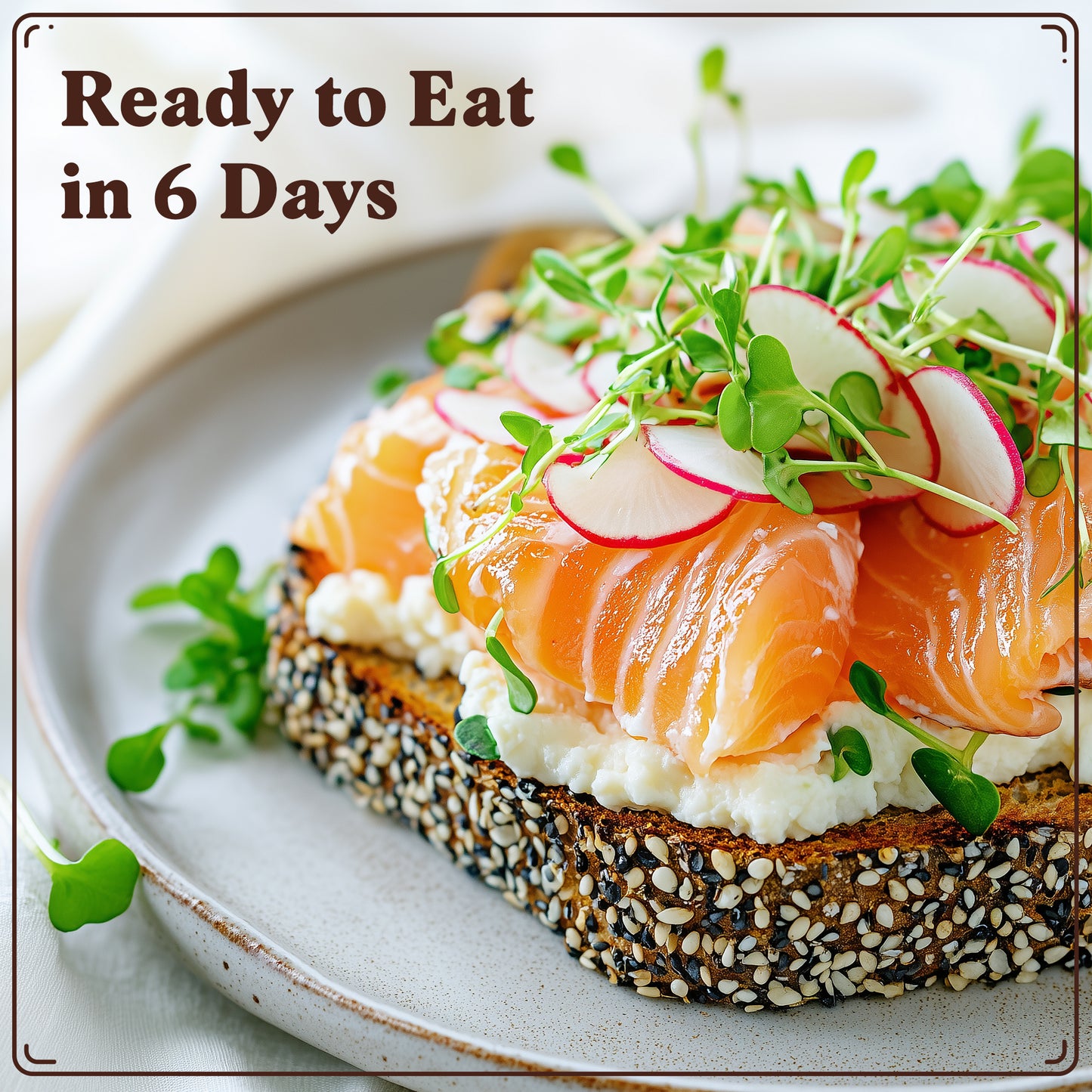 Graines de fenugrec à germer bio