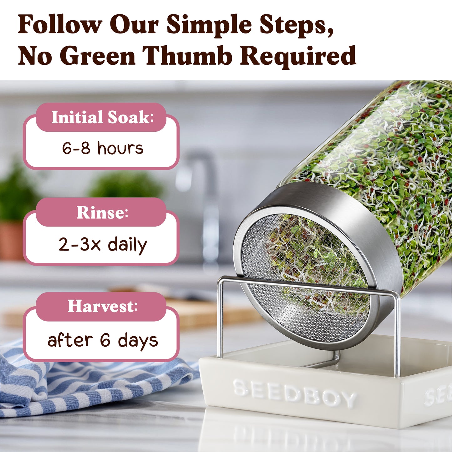 Graines de fenugrec à germer bio