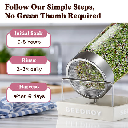 Graines de fenugrec à germer bio