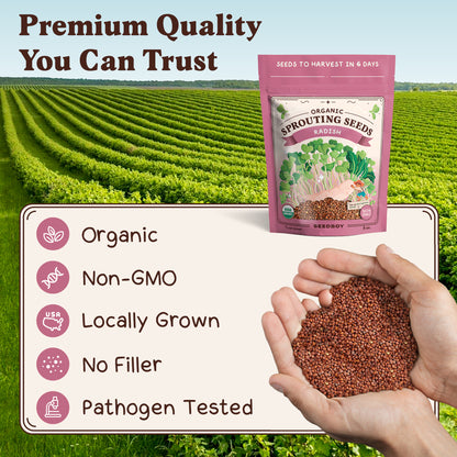 Graines de fenugrec à germer bio