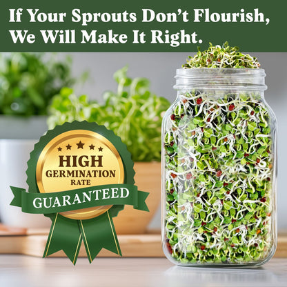 Graines de fenugrec à germer bio