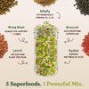 Fresh Salad Blend Sprouting Seeds, Organic & Non-GMO - 8 oz Bag