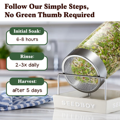 Fresh Salad Blend Sprouting Seeds, Organic & Non-GMO  – 8 oz Bag