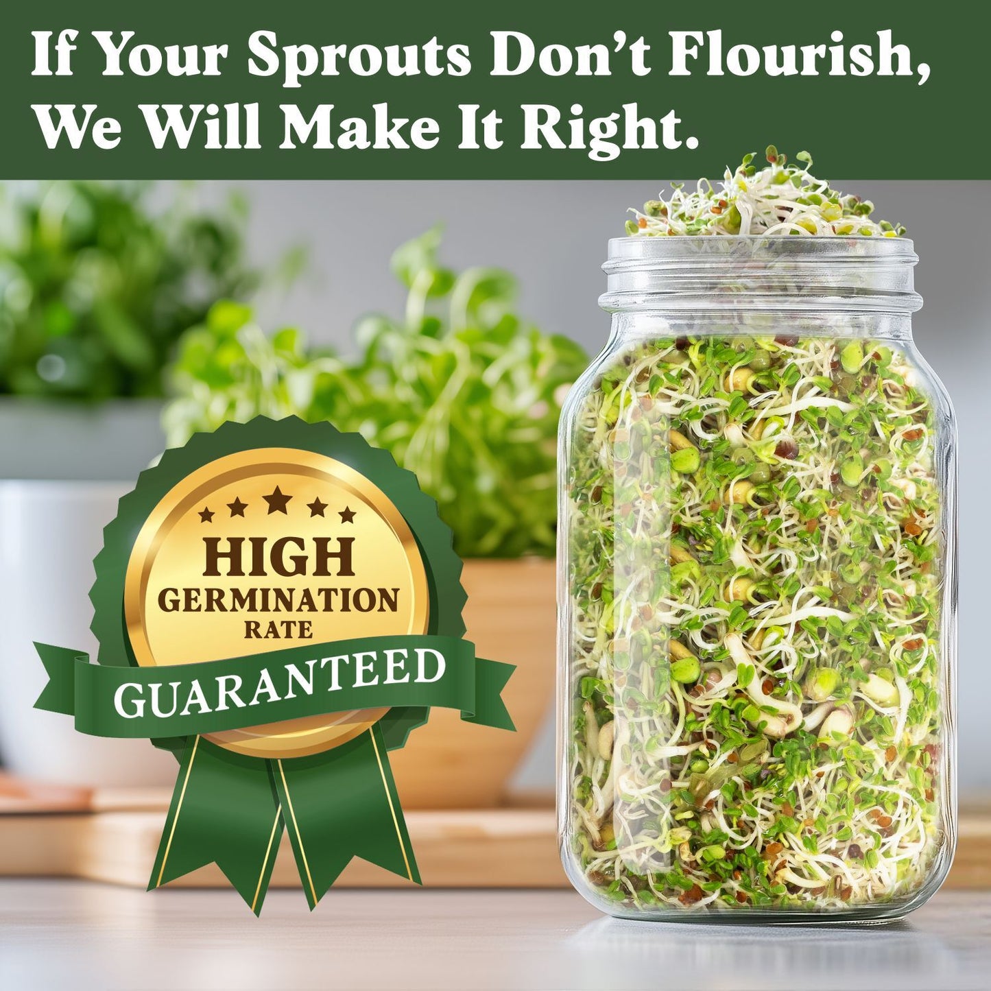 Fresh Salad Blend Sprouting Seeds, Organic & Non-GMO  – 8 oz Bag