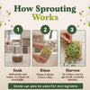 Strength Bundle - Superfood & Protein Sprouting Seeds, Two 8 oz Bags