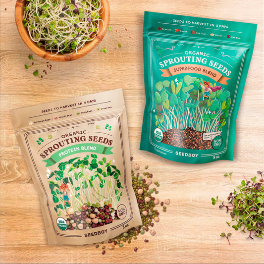 2-Pack Bundle - Superfood & Protein - Organic Sprouting Seeds, Two 8 oz Bags