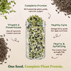 Sunflower Microgreens Seeds, Organic & Non-GMO - 8 oz Bag