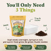 Sunflower Microgreens Seeds, Organic & Non-GMO - 8 oz Bag