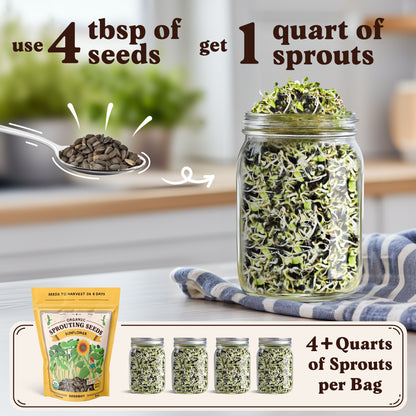 Sunflower Sprouting Seeds, Organic & Non-GMO  – 8 oz Bag
