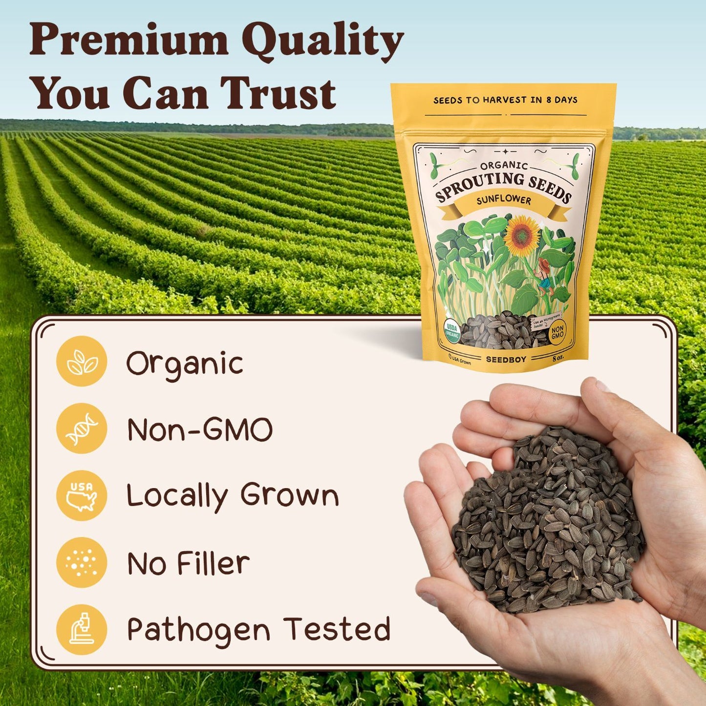 Sunflower Sprouting Seeds, Organic & Non-GMO  – 8 oz Bag