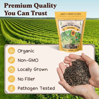 Sunflower Sprouting Seeds, Organic & Non-GMO  – 8 oz Bag