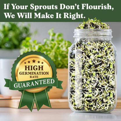 Sunflower Sprouting Seeds, Organic & Non-GMO  – 8 oz Bag