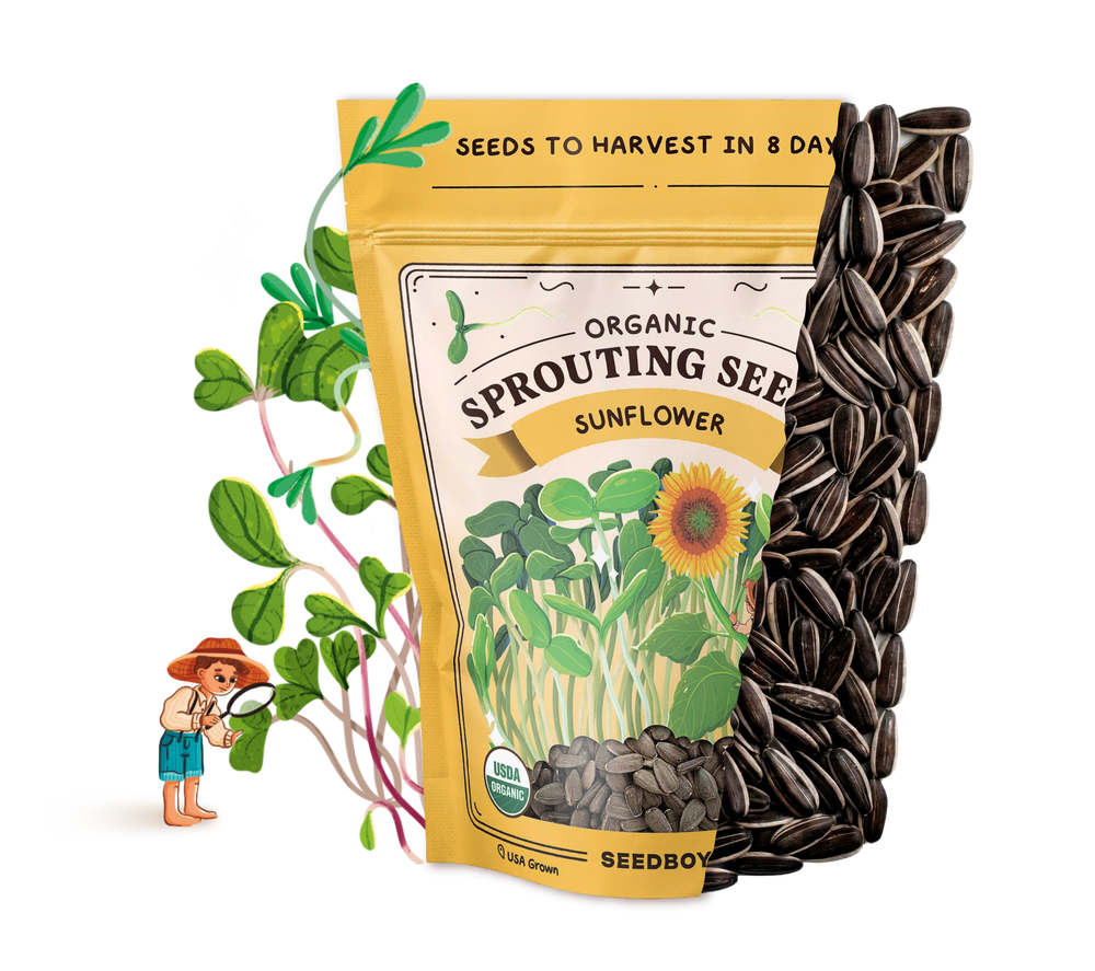 Sunflower Microgreens Seeds, Organic & Non-GMO - 8 oz Bag