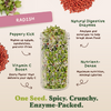 Salad Toppers - Salad Blend, Radish, Broccoli & Alfalfa Sprouting Seeds, Four 8 oz Bags