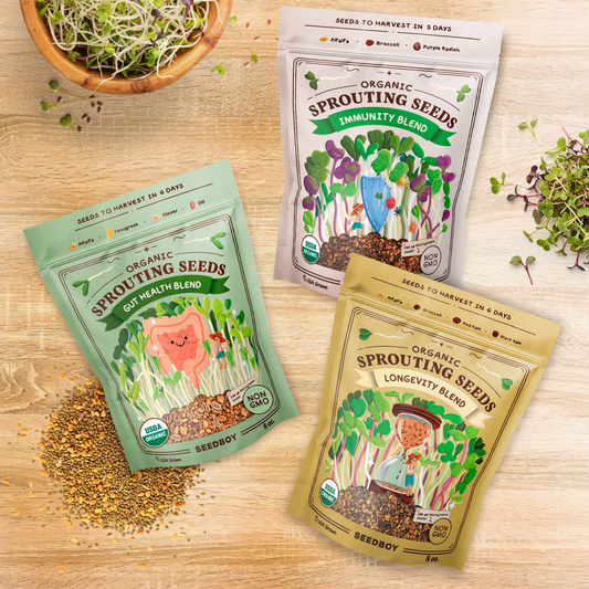 Daily Wellness Stack - Gut Health, Immunity & Longevity Sprouting Seeds, Three 8 oz Bags