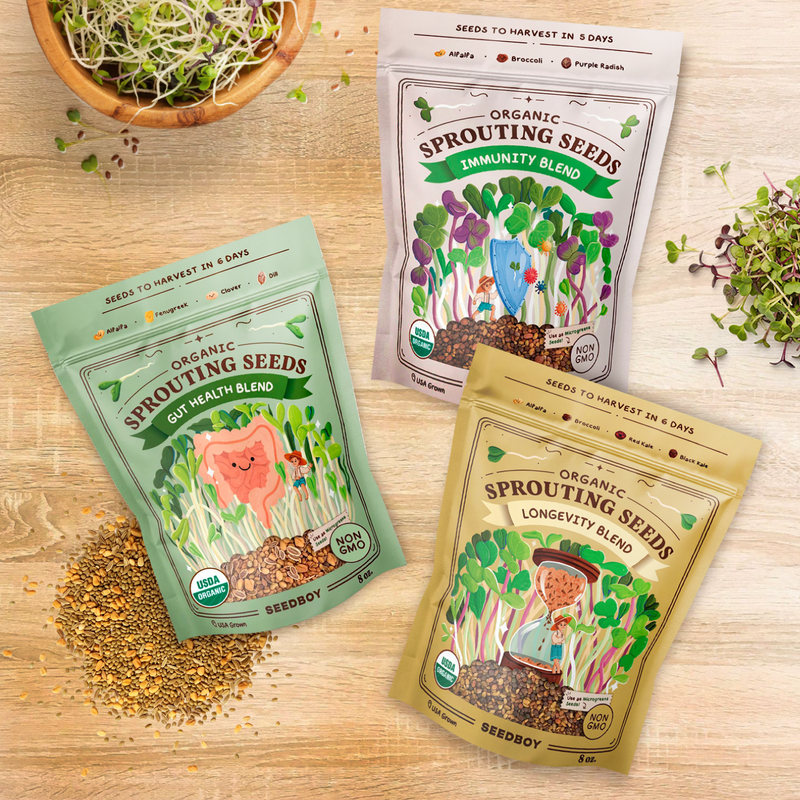 Daily Wellness Stack - Gut Health, Immunity & Longevity Sprouting Seeds, Three 8 oz Bags