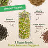 Full Sprout Bundle - Six Functional Blend Sprouting Seeds, Six 8 oz Bags