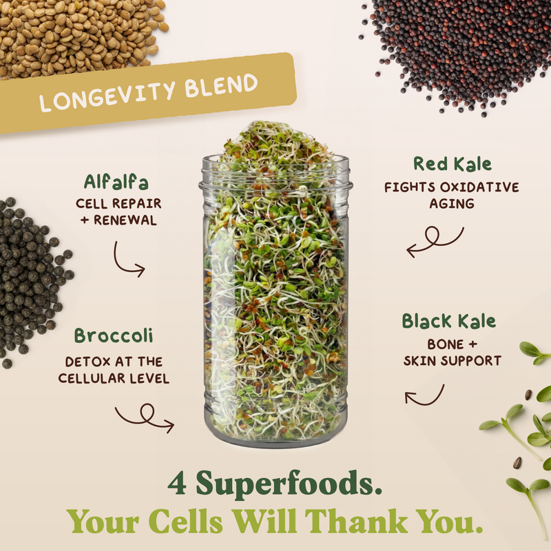Full Sprout Bundle - Six Functional Blend Sprouting Seeds, Six 8 oz Bags