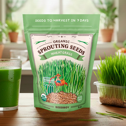 Wheatgrass Sprouting Seeds, Organic & Non-GMO - 8 oz Bag
