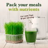 Wheatgrass Sprouting Seeds, Organic & Non-GMO - 8 oz Bag