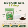 Wheatgrass Sprouting Seeds, Organic & Non-GMO - 8 oz Bag