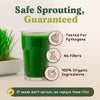Wheatgrass Sprouting Seeds, Organic & Non-GMO - 8 oz Bag