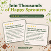 Wheatgrass Sprouting Seeds, Organic & Non-GMO - 8 oz Bag