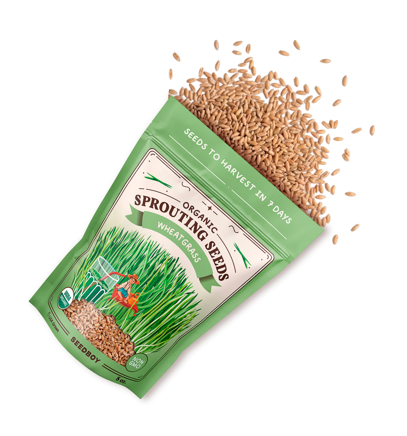 Wheatgrass Sprouting Seeds, Organic & Non-GMO - 8 oz Bag