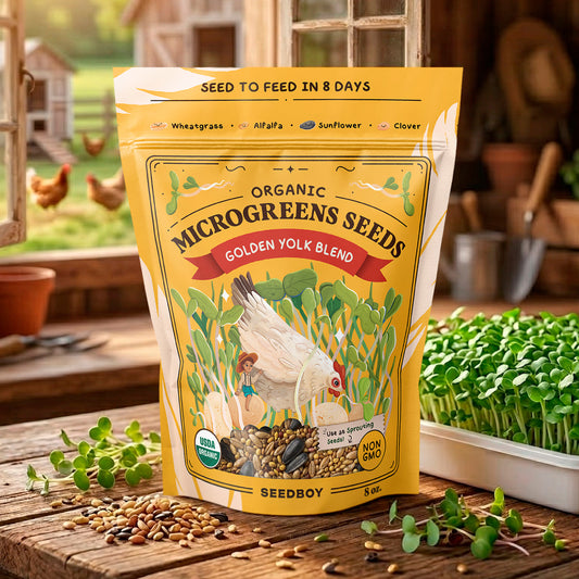 Golden Yolk Blend - Organic, Non-GMO Microgreens Seeds, 8 oz