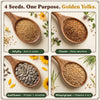 Golden Yolk Blend - Organic, Non-GMO Microgreens Seeds, 8 oz