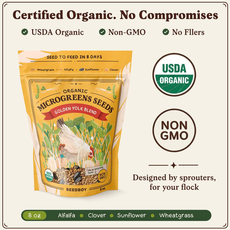 Golden Yolk Blend - Organic, Non-GMO Microgreens Seeds, 8 oz