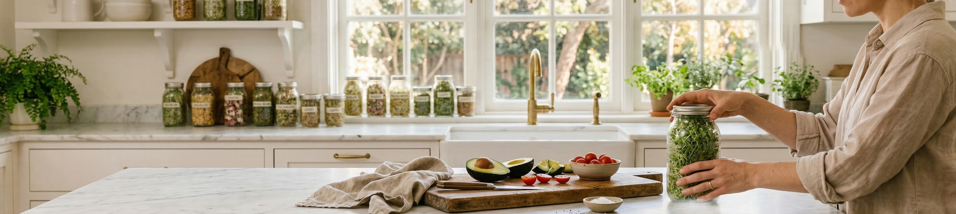 Grow fresh sprouts at home