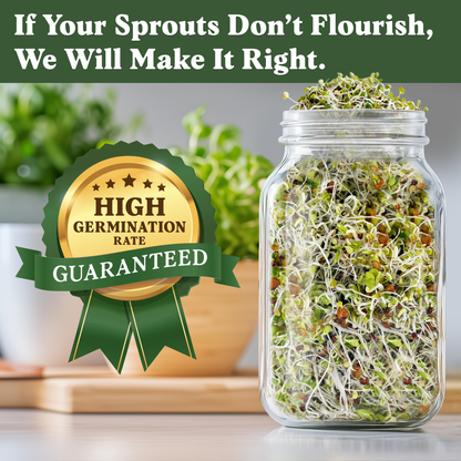 Superfood Blend Sprouting Seeds, Organic & Non-GMO  – 8 oz Bag