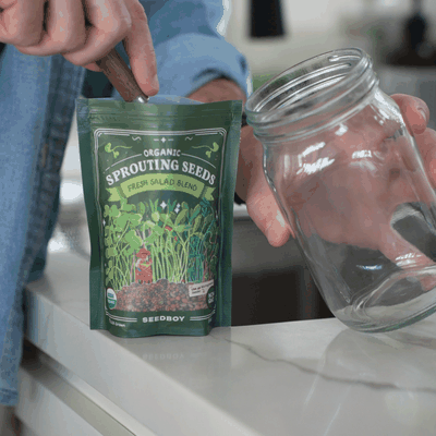 Soak seeds in water